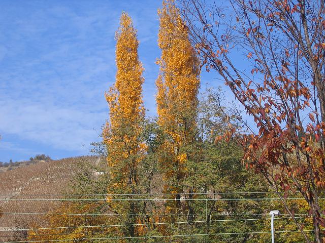 Photo 117.jpg